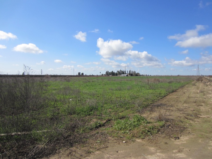 18.55 Acre Farm Ground Sanger, California