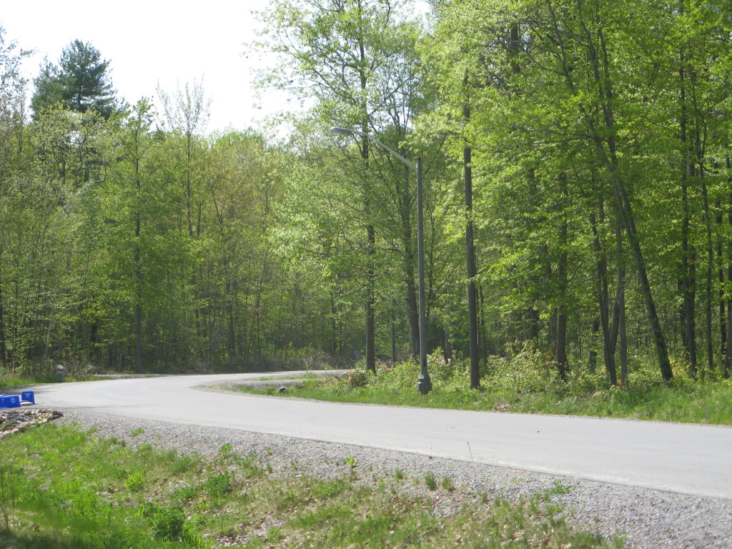 Oak Ridge Estate Subdivision RFA Planning Consultant Inc.