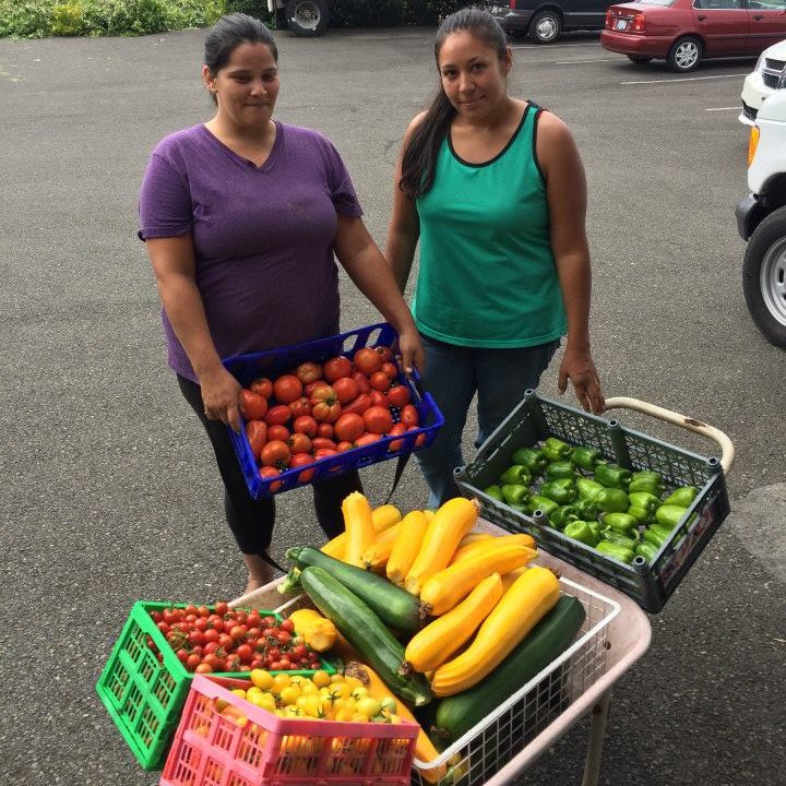 Fruit and Veg Profiles for Food Banks Rotary First Harvest