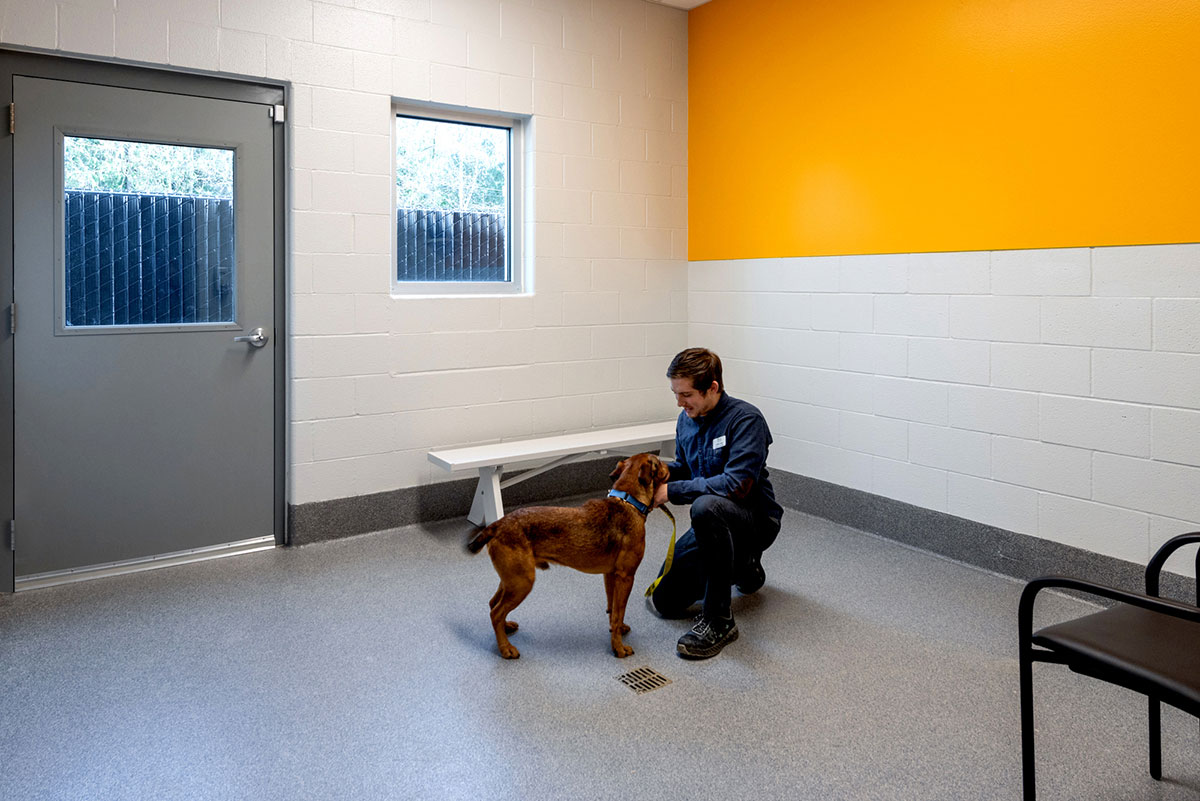 Kitsap Humane Society Adoption Center Rice Fergus Miller