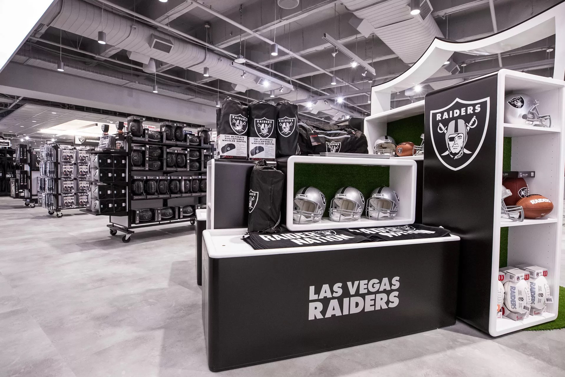 The Raider Image Flagship —