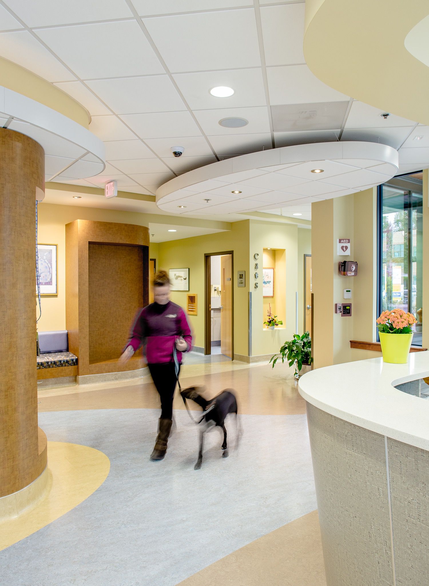 Healthcare Construction Parkway Veterinary Hospital R&H Construction