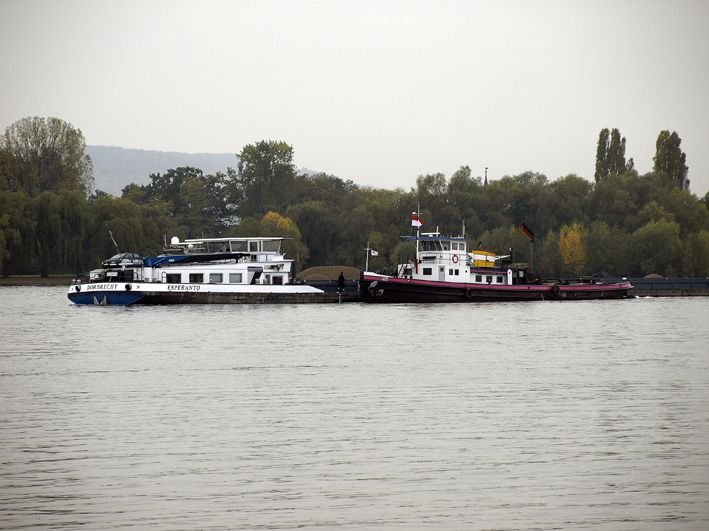 Rheingau Echo Die besten Seiten unserer Region