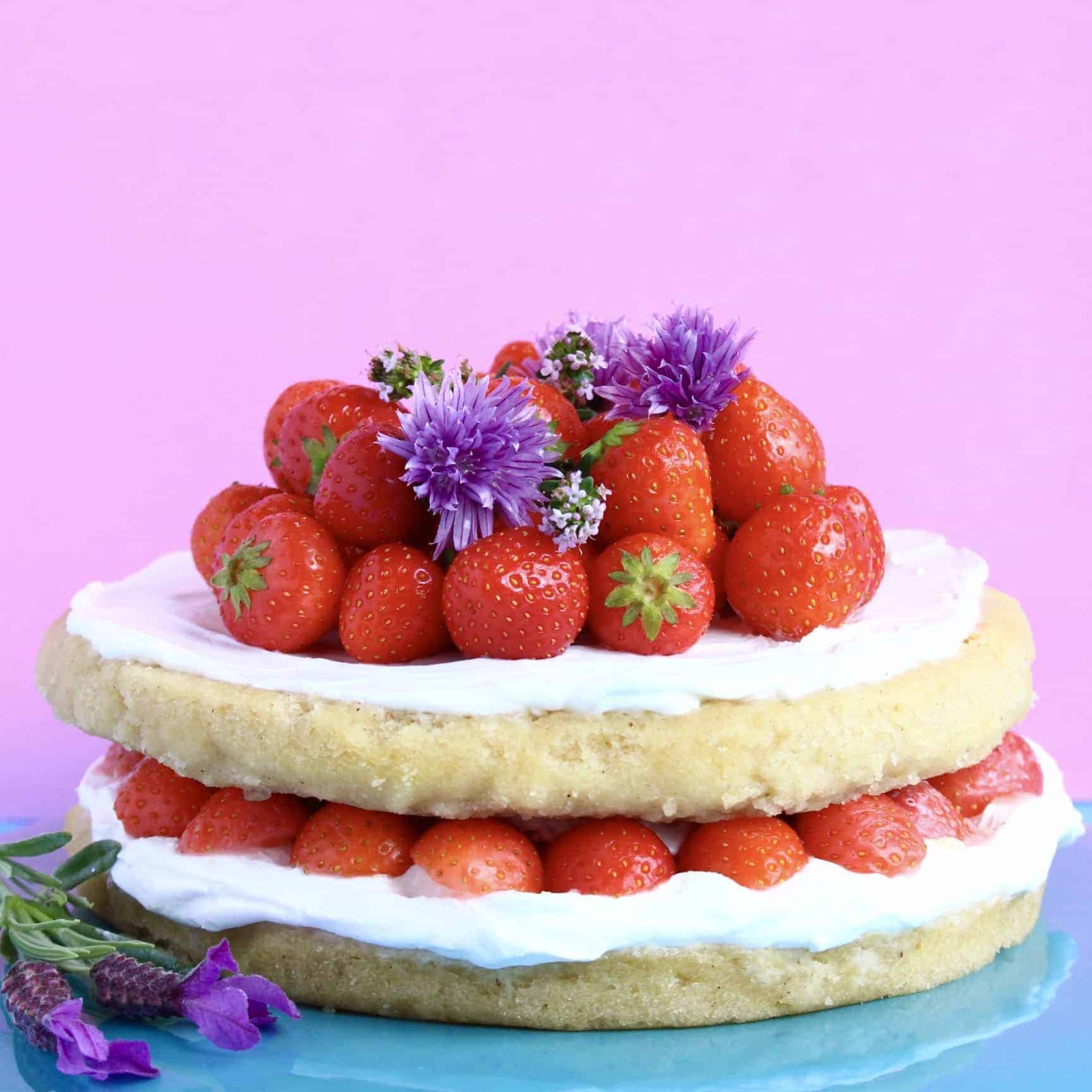 GlutenFree Vegan Strawberry Sponge Layer Cake Rhian's