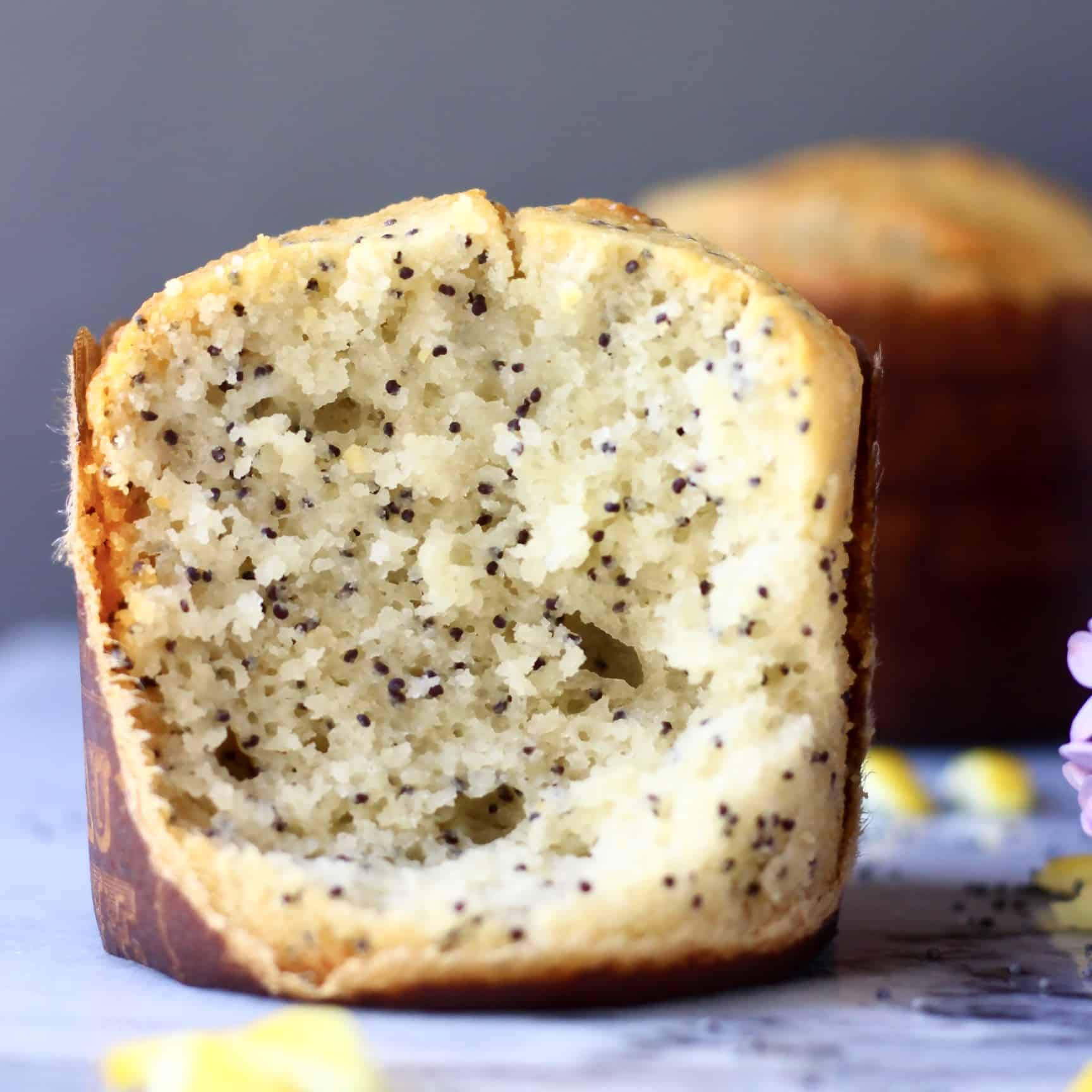Are Lemon Poppy Seed Muffins Bad For Dogs