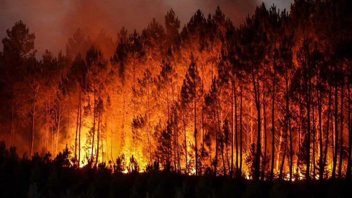 Aging Gracefully How Rhino Shield Keeps Your Home Looking Fresh for