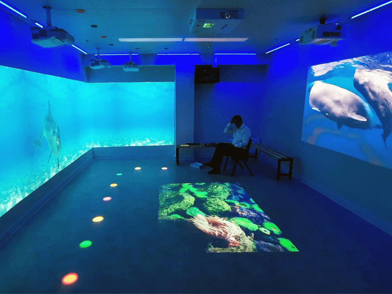 Immersive Reality Rooms Rhino UK