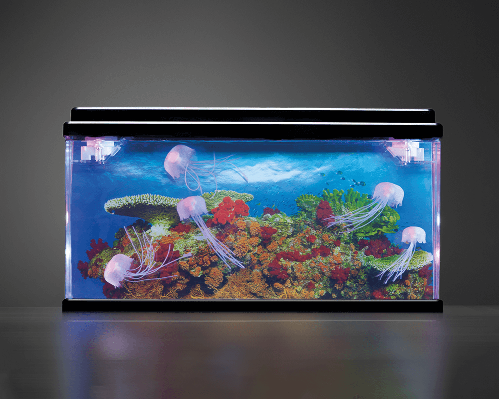 Large Jellyfish Tank UV & Glow in Dark & Special Needs Toys
