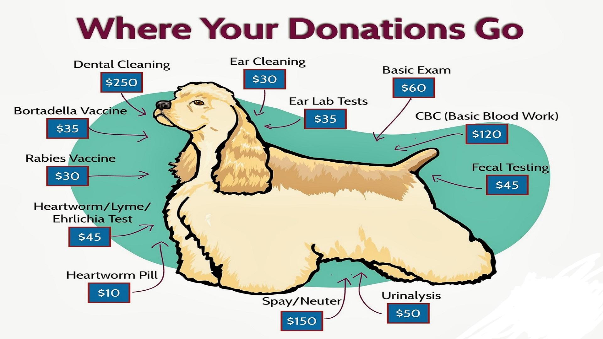 Donate Rhode Home Rescue