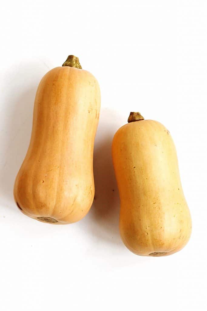 All about butternut squash A beginner's guide Rhubarbarians