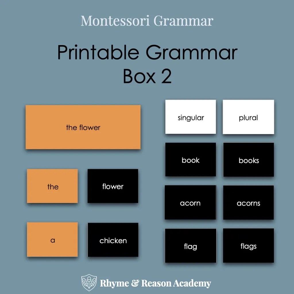 Grammar Box 2 Articles and Nouns Rhyme and Reason Academy