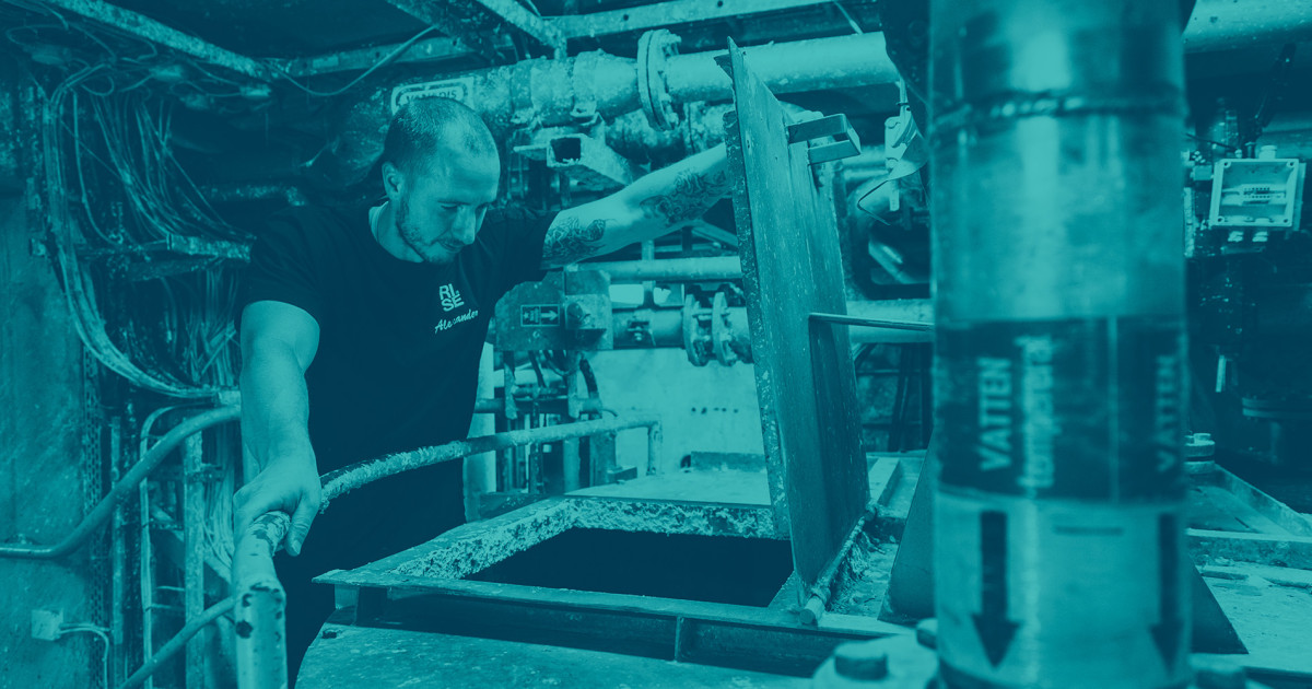 Papermaking Network in 60 minutes RISE