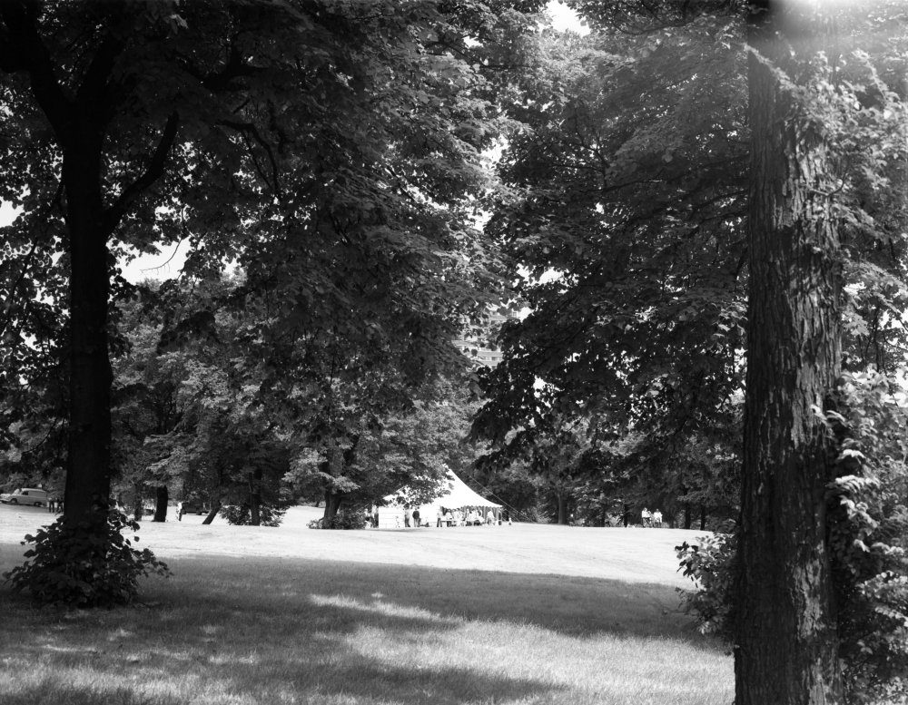 Elswick Leisure Park, Elswick Road, NewcastleuponTyne the landscape