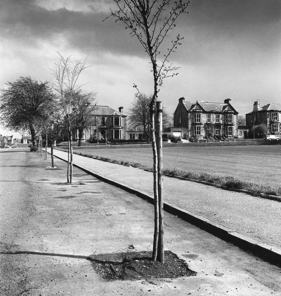 Victorian villas on Victoria Square, King's Park, Stirling RIBA pix