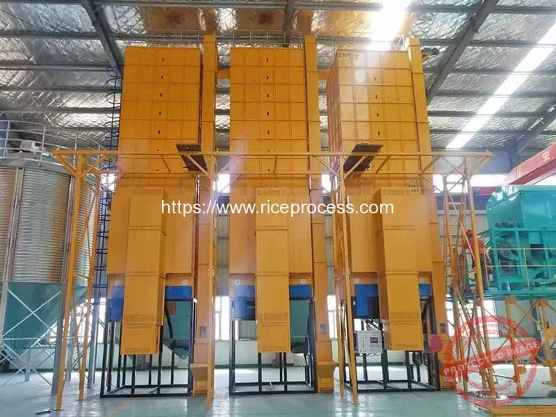 Full Automatic 105Ton Paddy Rice Dryer Machine Paddy Rice Dryer, Rice
