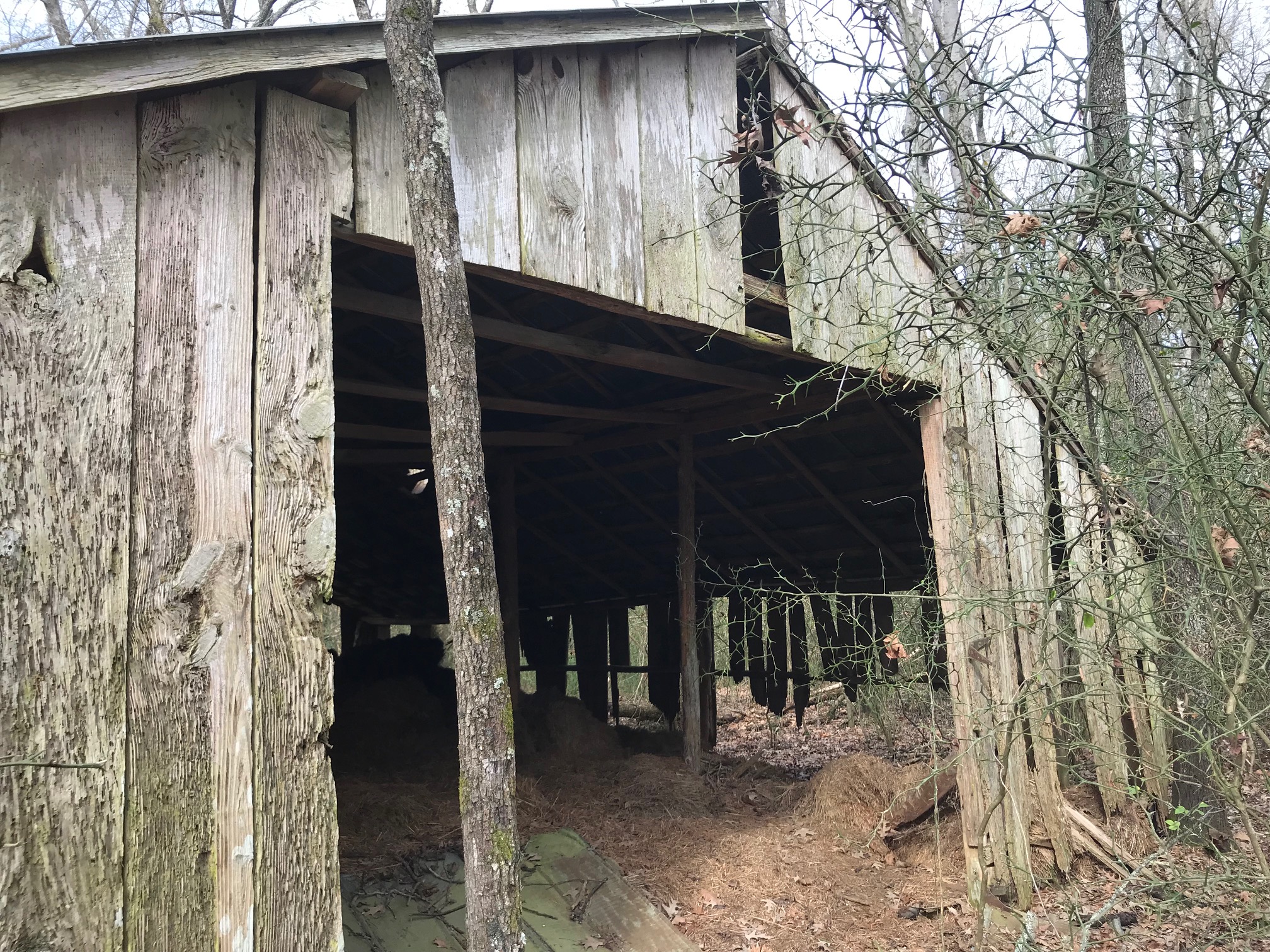 MS019 Jefferson County, MS 320 acres +/ Rice Realty Group Inc