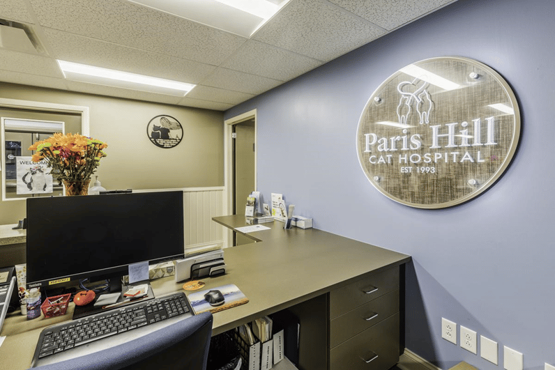 Rich & Gardner Partners with Paris Hill Cat Hospital to Renovate Their