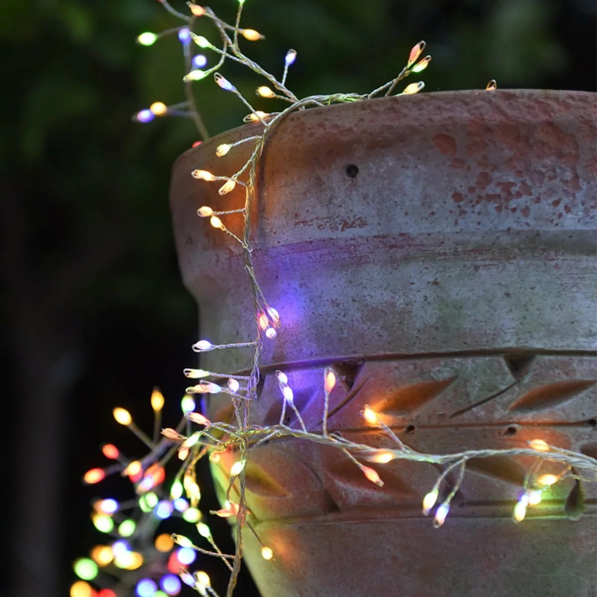 Colour Changing Cluster Lights Richard Jackson Garden