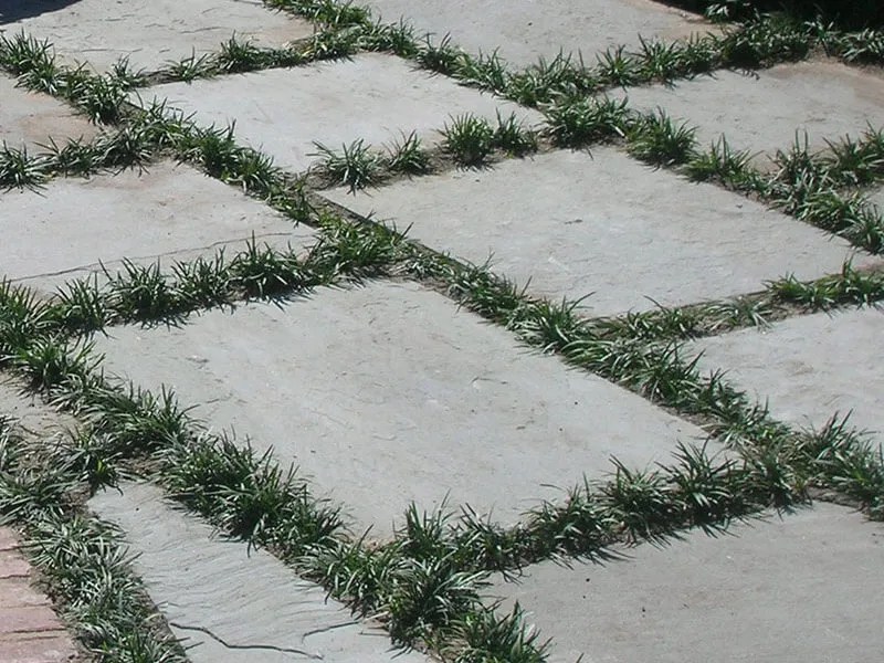 Which Is the Best Decorative Stone OKC in a Garden? Richburg Stone