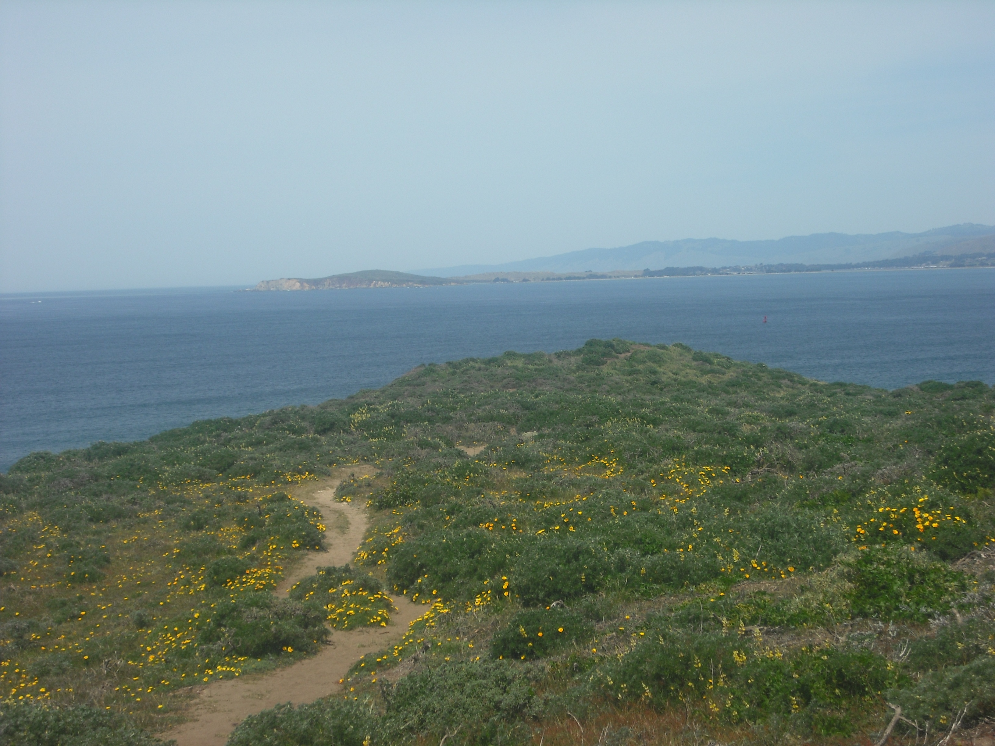 Tomales Point Trail Folkrocks