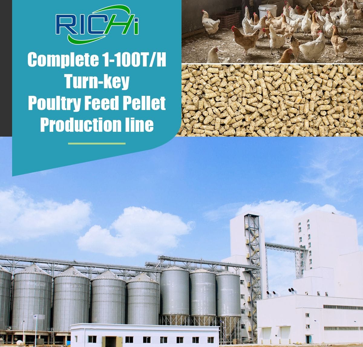 1160T/H Complete Poultry Feed Plant For Sale Richi Machinery