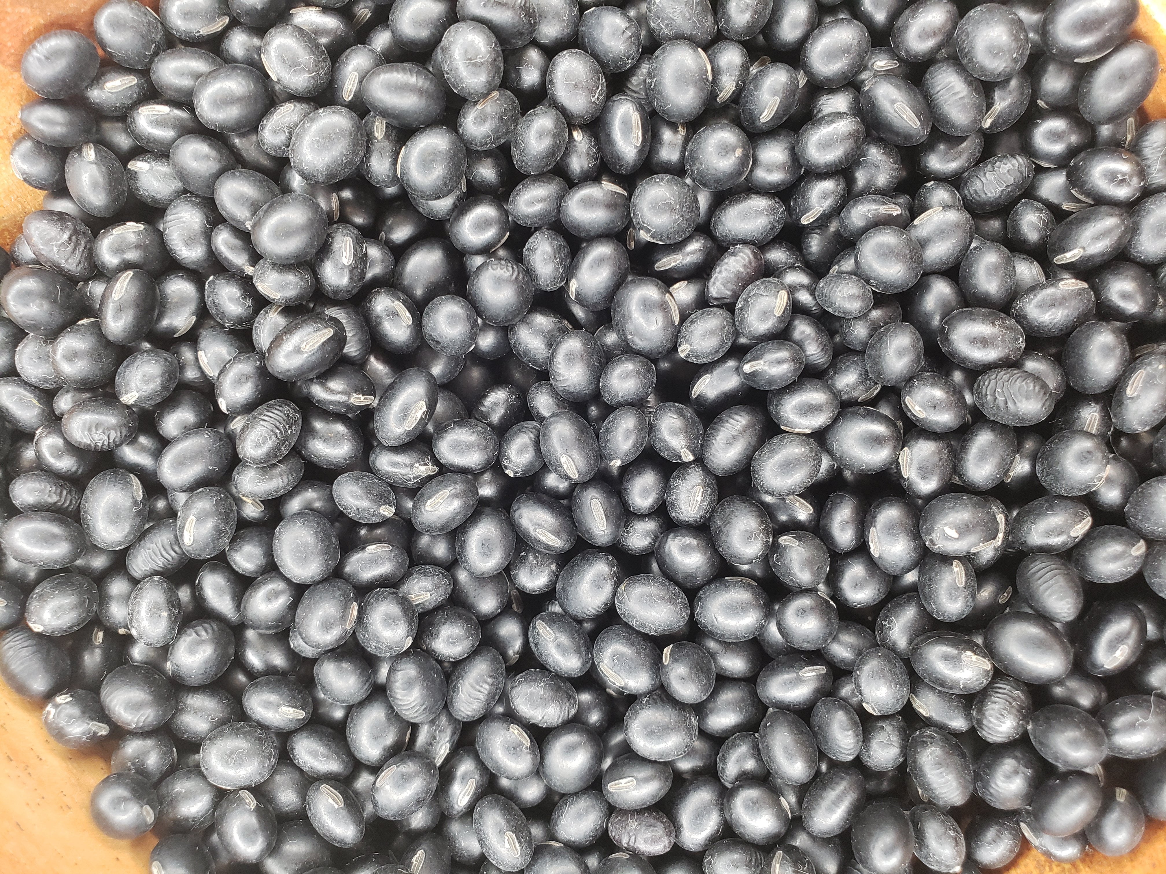 Soybeans Richland IFC