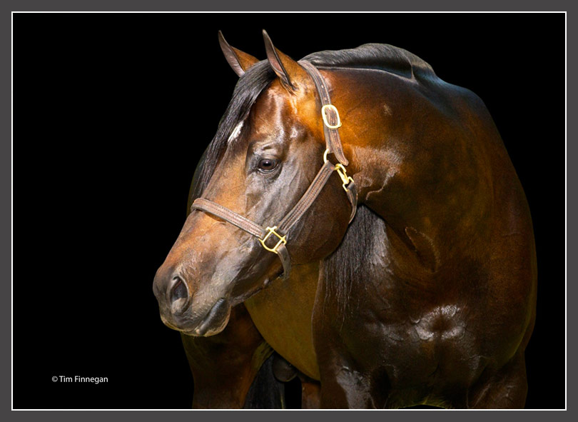 Richland Ranch, home of Zippos Mr Good Bar, Coats N Tails, An Awesome Mister, and Good Time To