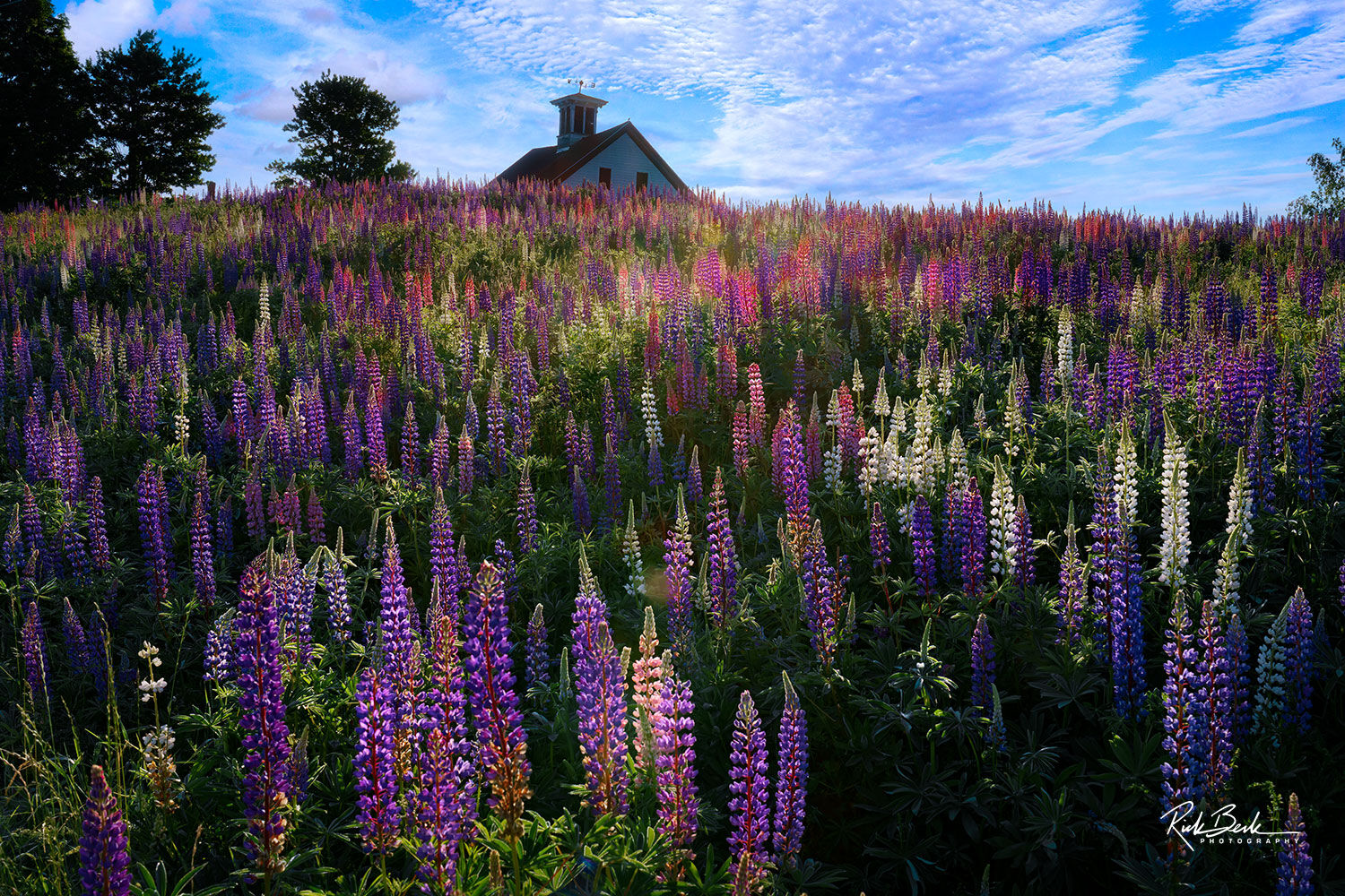 Spring Colors Whitefield, Maine Rick Berk Fine Art Photography