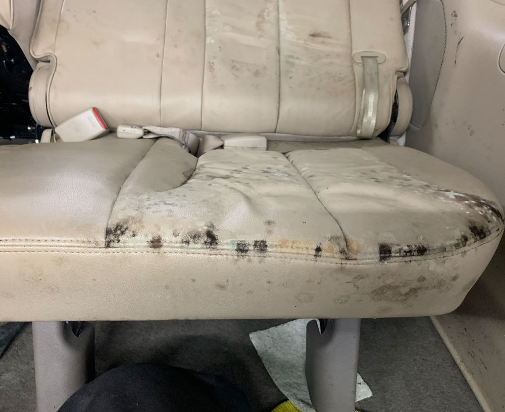 Car Interior Water Damage Repair & Odor Removal Rick's Auto