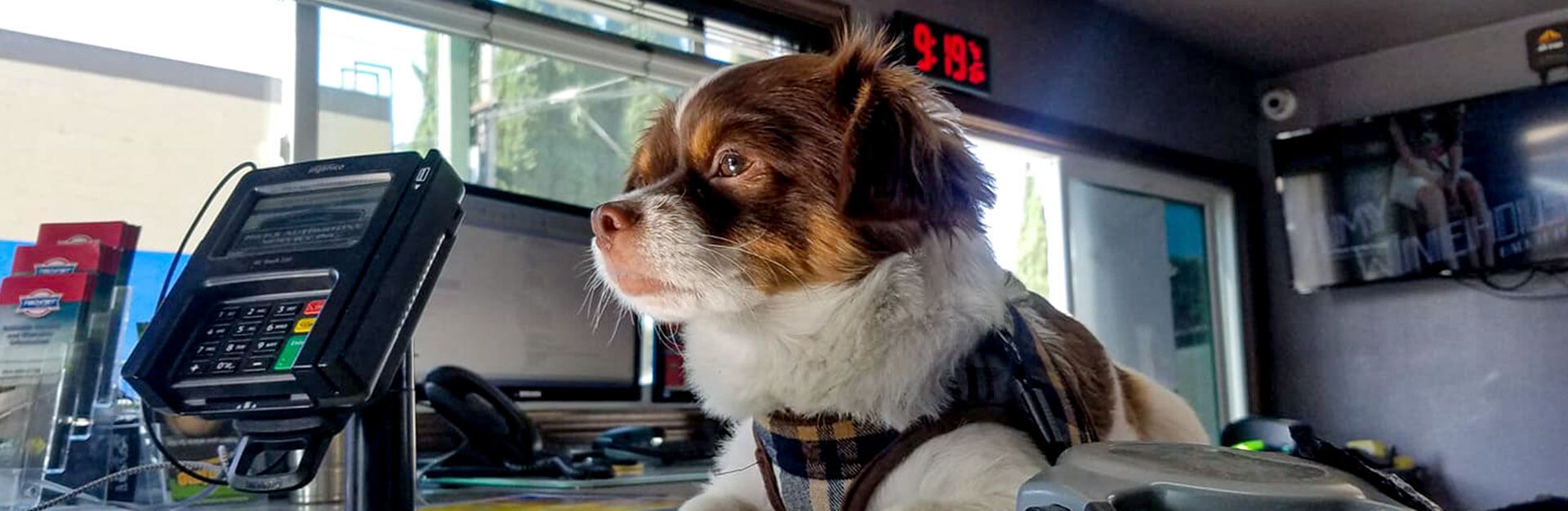 Lawndale Auto Repair Rick's Automotive