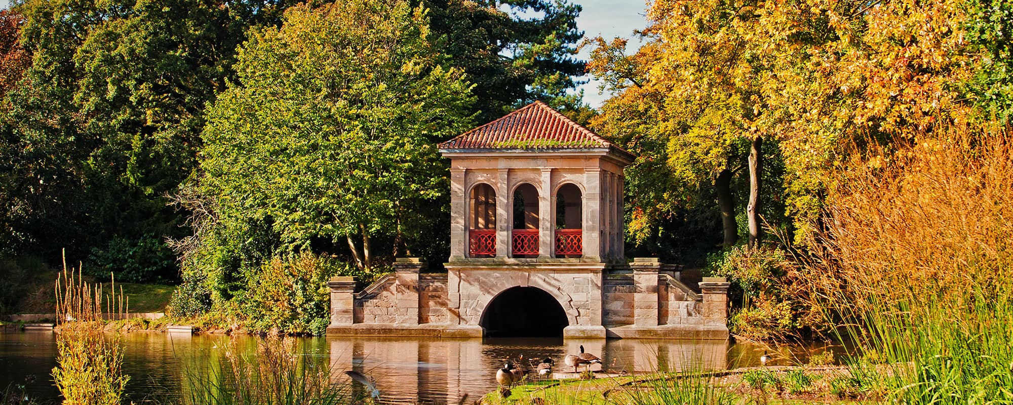 Brennan Ayre O'Neill RICS Find a Surveyor