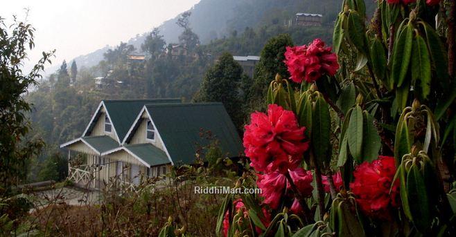 Lava Lolegaon Kalimpong Homestay RiddhiMart