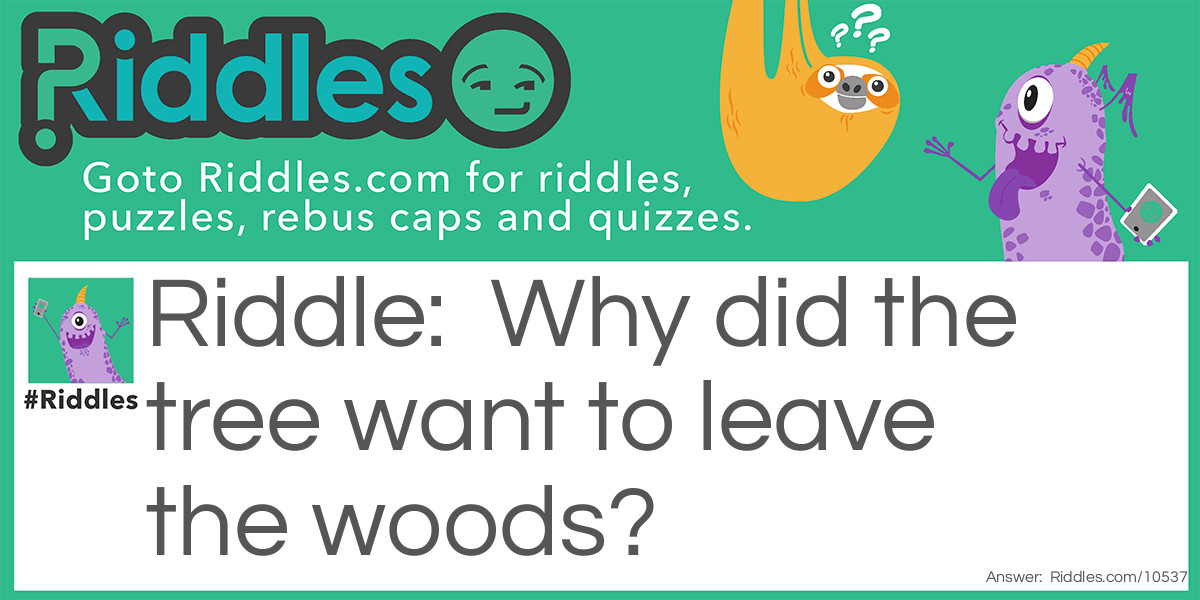 The Woods.... Riddle And Answer