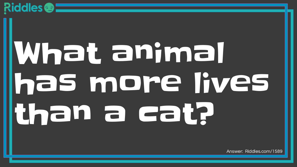 75+ Animal Riddles Jokes and Brain Teasers with Answers