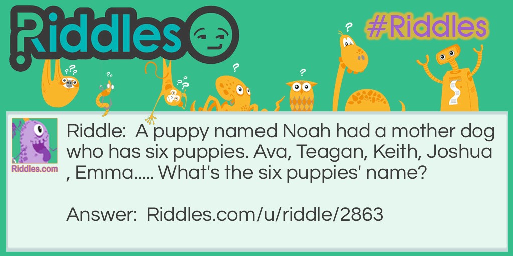 The Dogs... Riddle And Answer