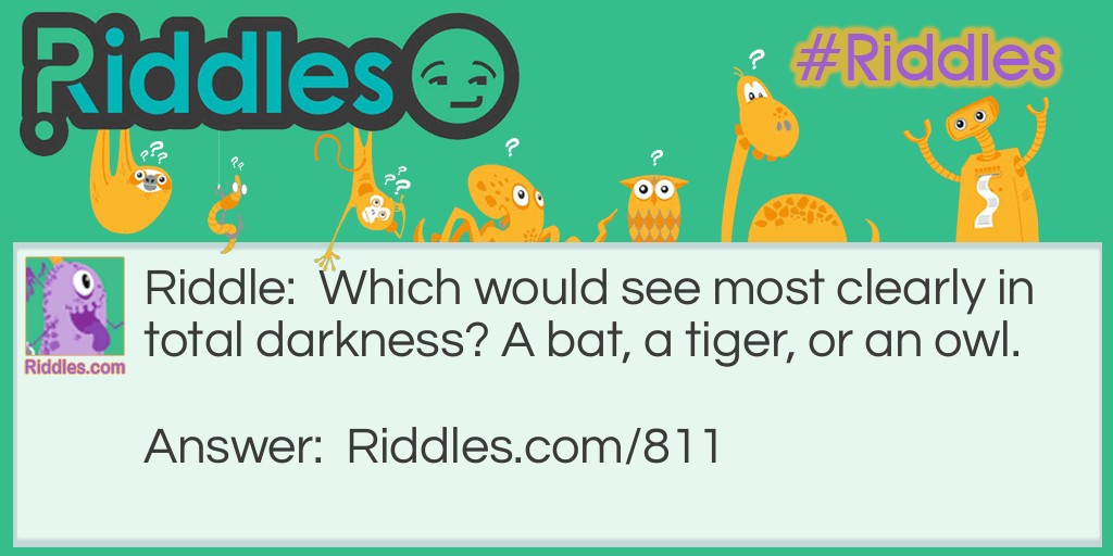 Which Would See Most Clearly In Total Darkness? A Bat, A Tiger