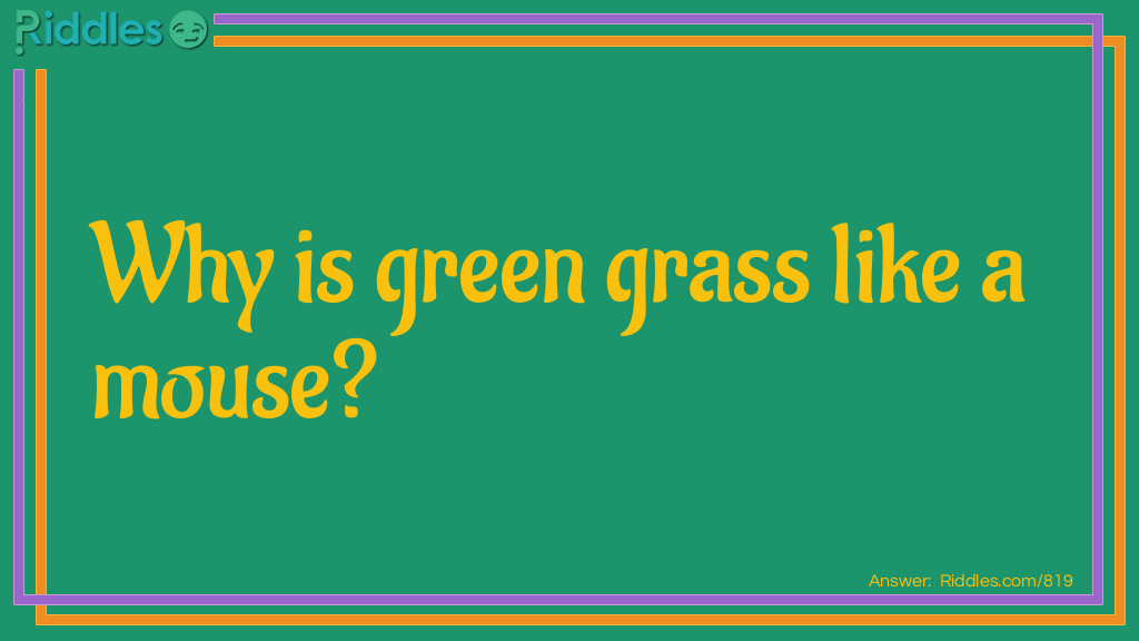 Grass Like A Mouse... Riddle And Answer
