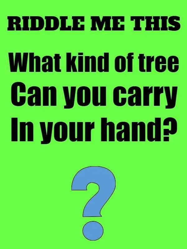What kind of tree can you carry in your hand riddle answer Riddlester