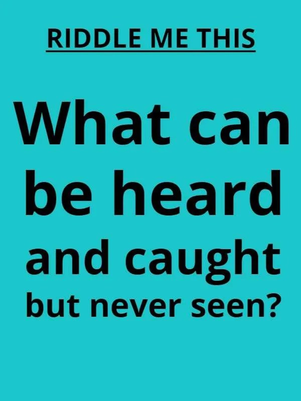 Riddles for kids with answers Brain Teasers Riddlester