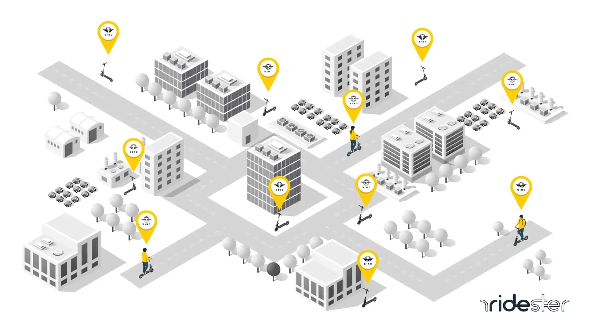 Bird Scooter Cost Pricing, Fees, And More Ridester