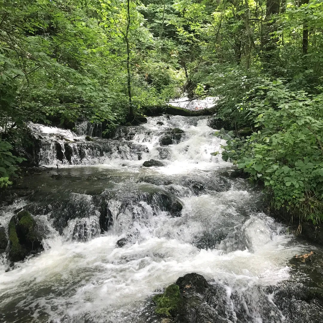 Mill Springs Mill Motorcycle Tour Ride The Smokies