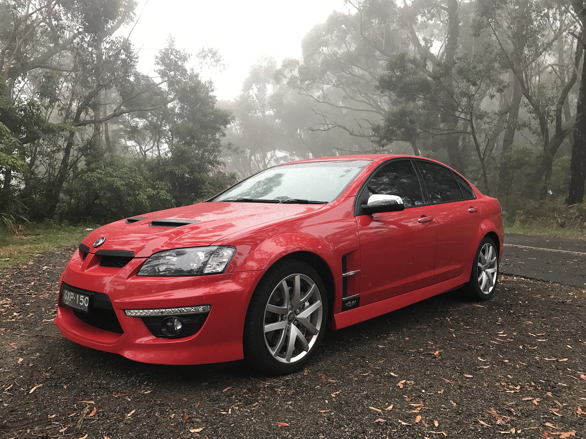 Why did Holden shut down?