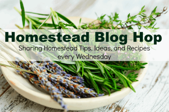 homestead Blog Hop 244