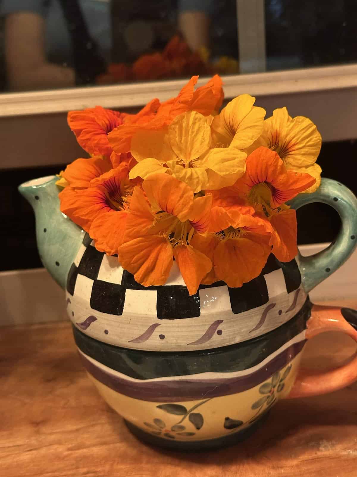 Flowers in October Ridge Haven Homestead