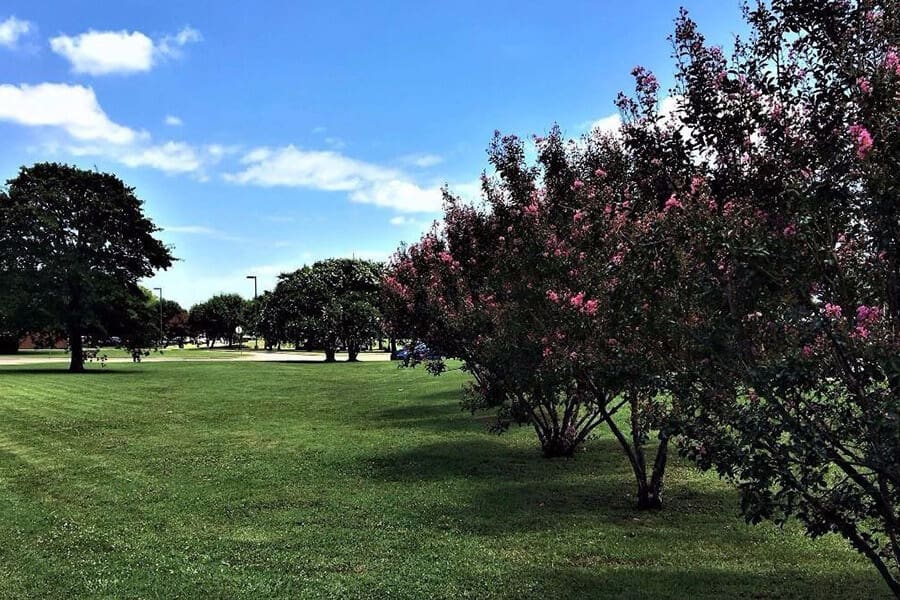 Home Ridge Pointe Commercial Real Estate