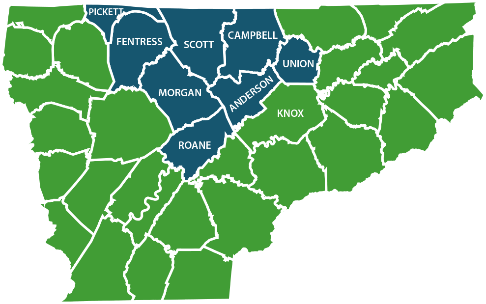 About Ridgeview Ridgeview Behavioral Health Services