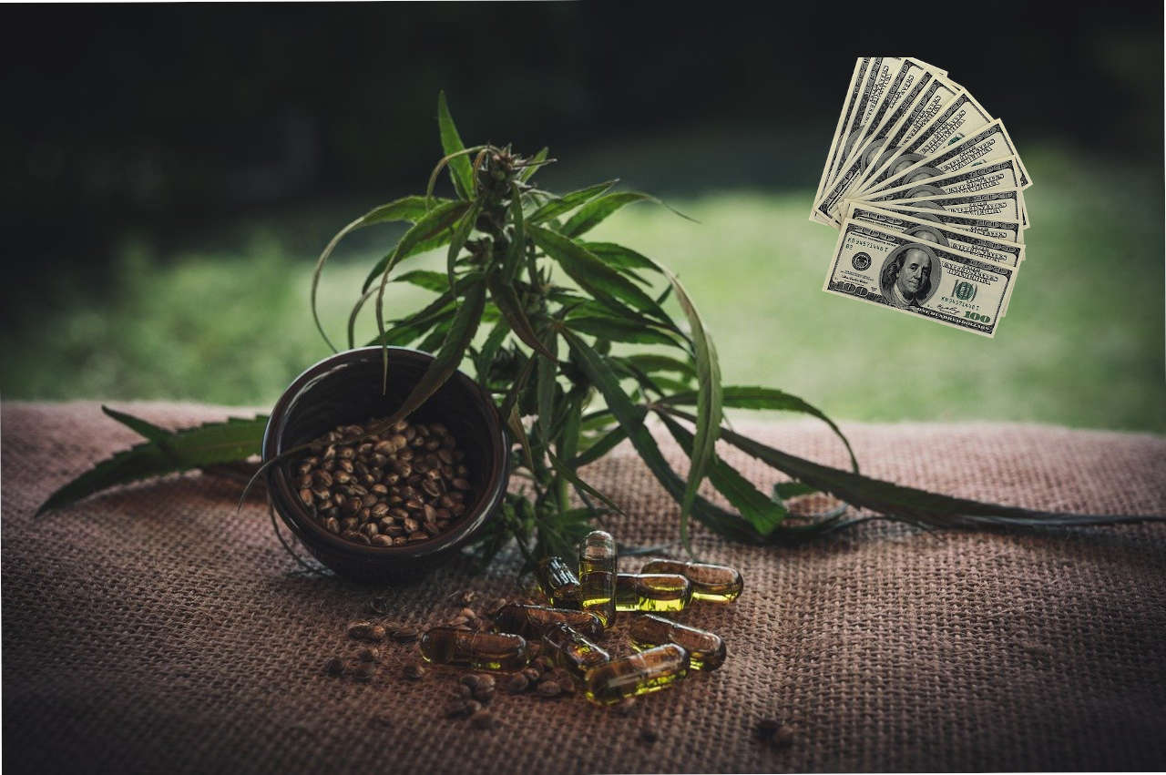 Why is CBD so Expensive? ridgeviewrecovery