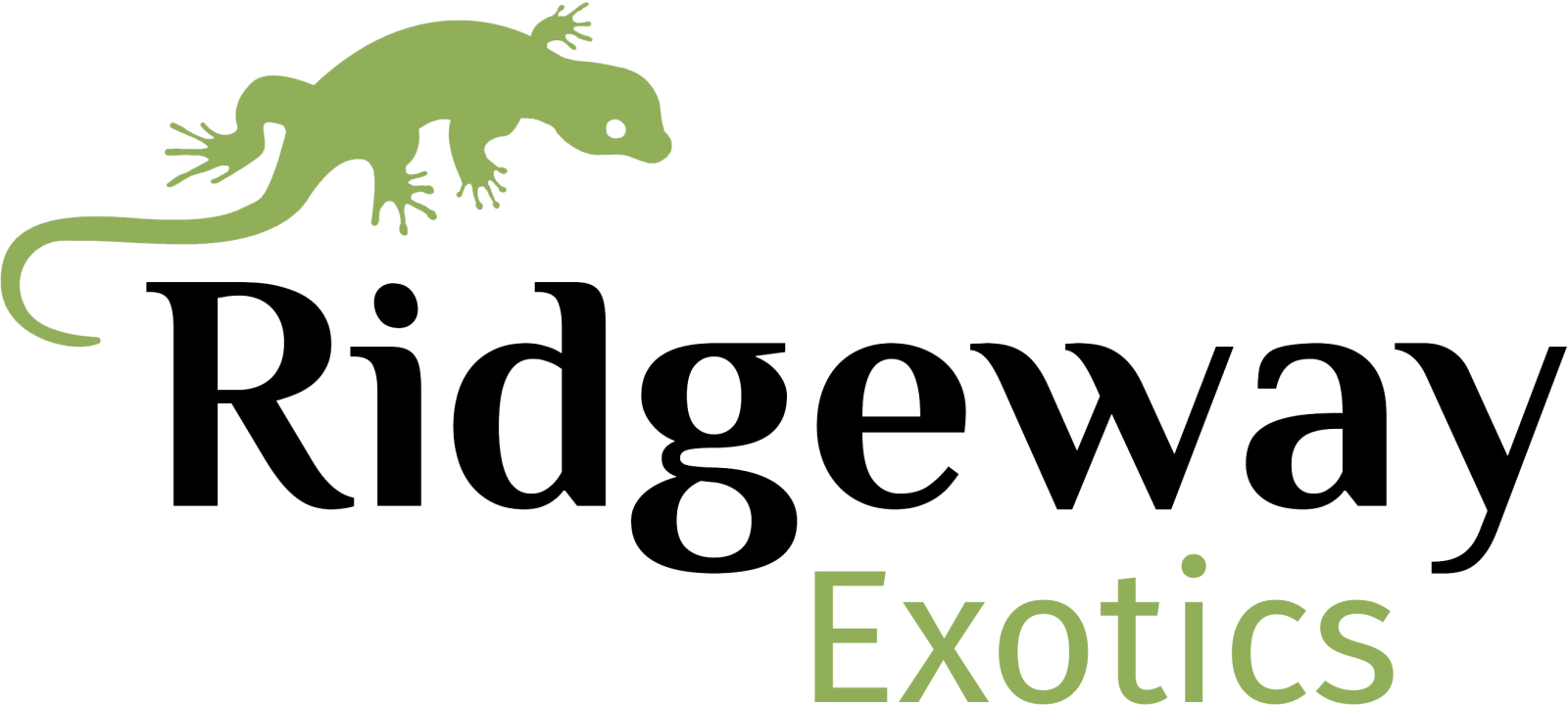 exotic pet shop longton Mollie Carl