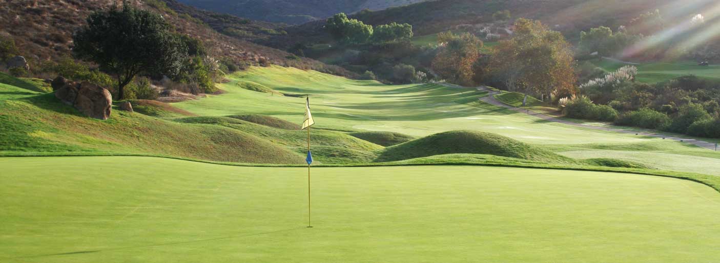 Rigby Taylor Grass seed, water management & line marking solutions