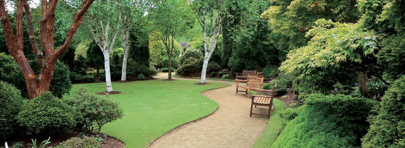 Rigby Taylor Grass seed, water management & line marking solutions